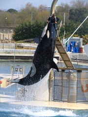 marineland 2005 2339