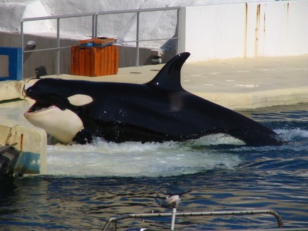 marineland 2005 2340