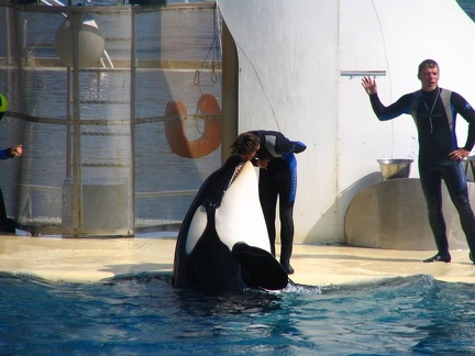 marineland 2005 2342