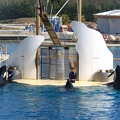 marineland 2005 2343