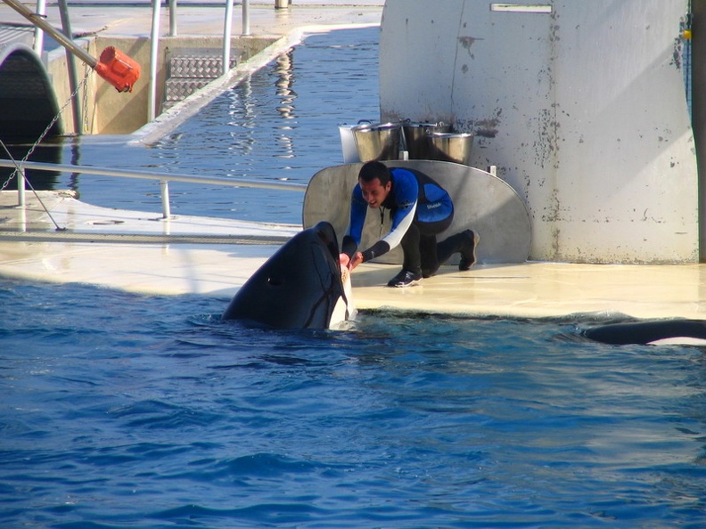 marineland 2005 2344