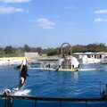 marineland 2005 2345