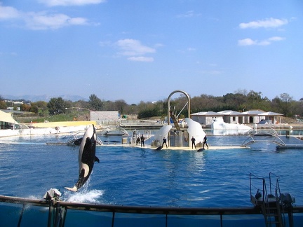 marineland 2005 2345