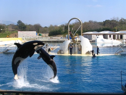 marineland 2005 2346