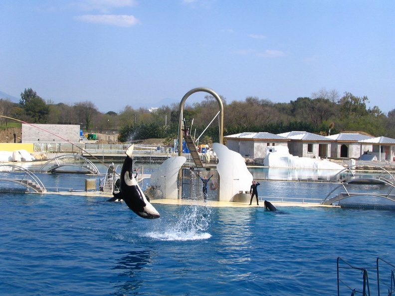 marineland_2005_2347.JPG