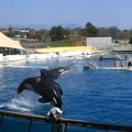 marineland 2005 2348