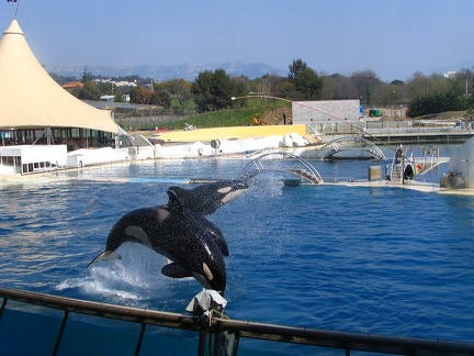 marineland 2005 2348