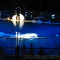 marineland 2005 1314