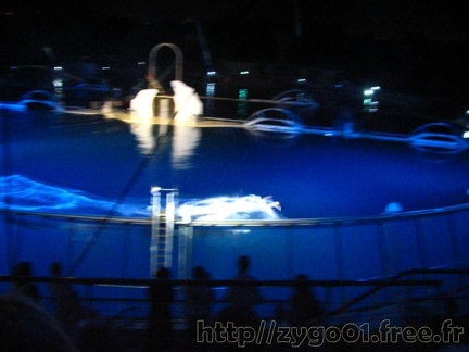 marineland 2005 1314