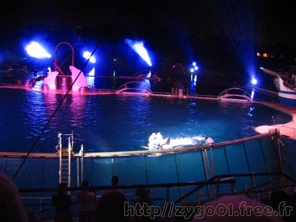 marineland 2005 1319