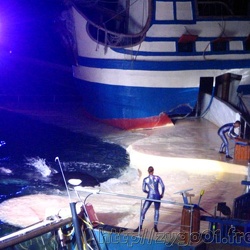 Marineland - Orques - les voix des oceans - spectacle