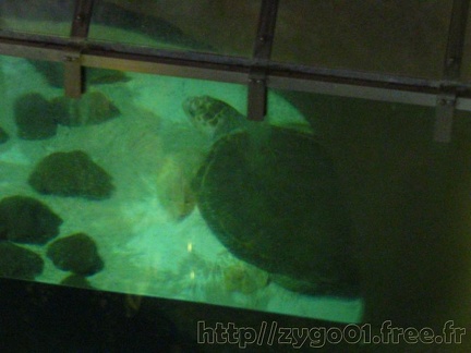 marineland 2005 1250