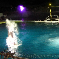 Marineland - Orques - Spectacle - Les voix des oceans