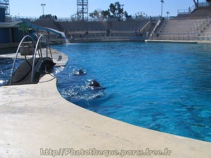 marineland 2005 0193