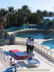 marineland 2005 0144