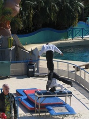 marineland 2005 0151