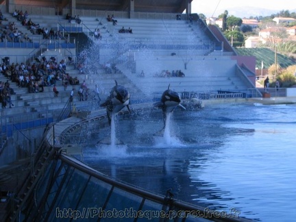 marineland 2005 0002