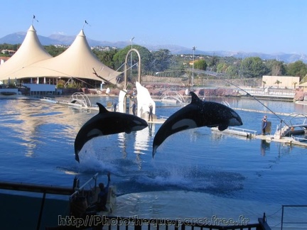 marineland 2005 0003