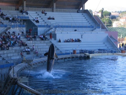 marineland 2005 0004