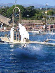 marineland 2005 0005