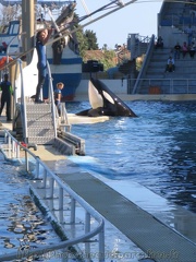 marineland 2005 0008