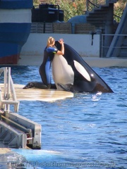 marineland 2005 0009