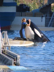 marineland 2005 0010