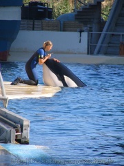 marineland 2005 0011