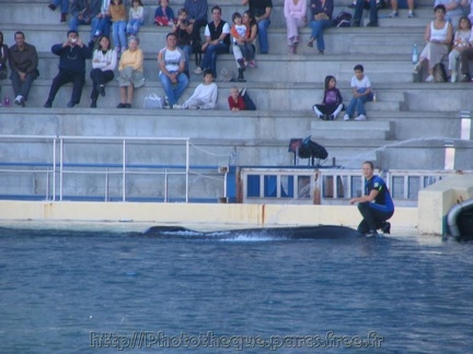 marineland 2005 0013