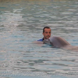 Marineland - Dauphins - Nico et kaly