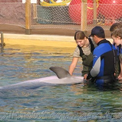 16 - Marineland - 23 Octobre 2005