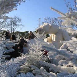 18 - Marineland - 12 Decembre 2005