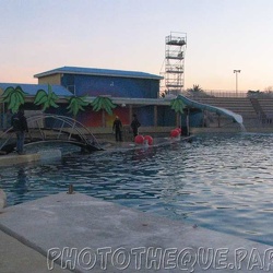 Marineland - Dauphins - Apprentissage jour