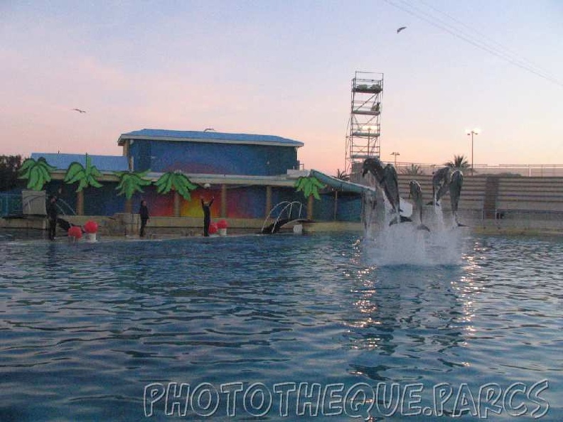 marineland 2005 2222