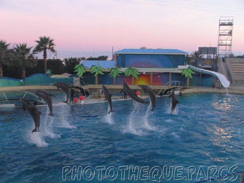 marineland_2005_2225.jpg