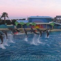 marineland 2005 2225