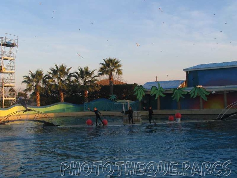 marineland_2005_2166.jpg