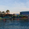 marineland 2005 2167