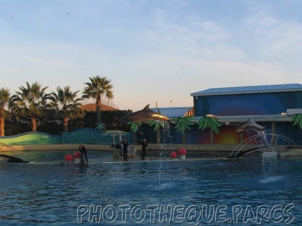 marineland 2005 2167