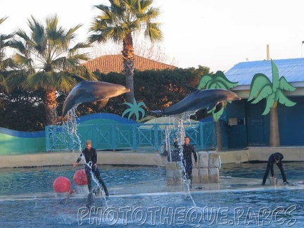 marineland 2005 2168