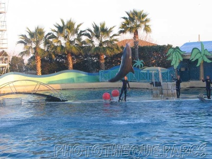 marineland 2005 2169