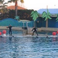 marineland 2005 2170