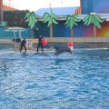 marineland_2005_2172.jpg