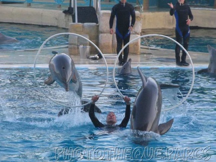 marineland 2005 2175