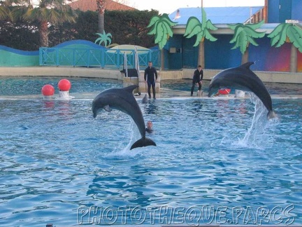 marineland 2005 2176