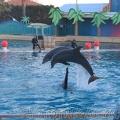 marineland 2005 2177