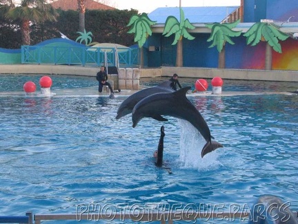 marineland 2005 2177