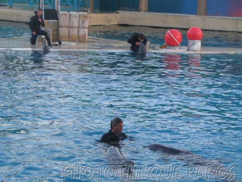 marineland_2005_2178.jpg