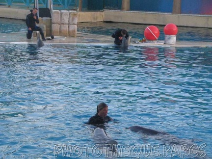 marineland 2005 2178