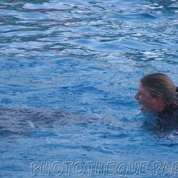 Marineland - Dauphins - Spectacle